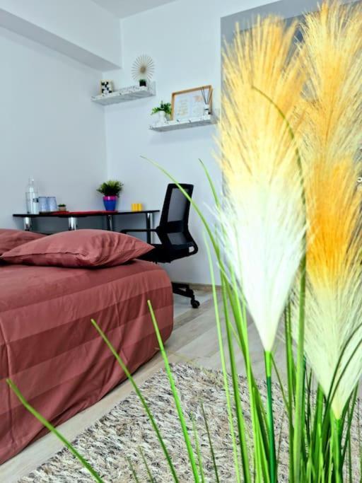 Ultracentral Magheru Studio Daire Bükreş Dış mekan fotoğraf